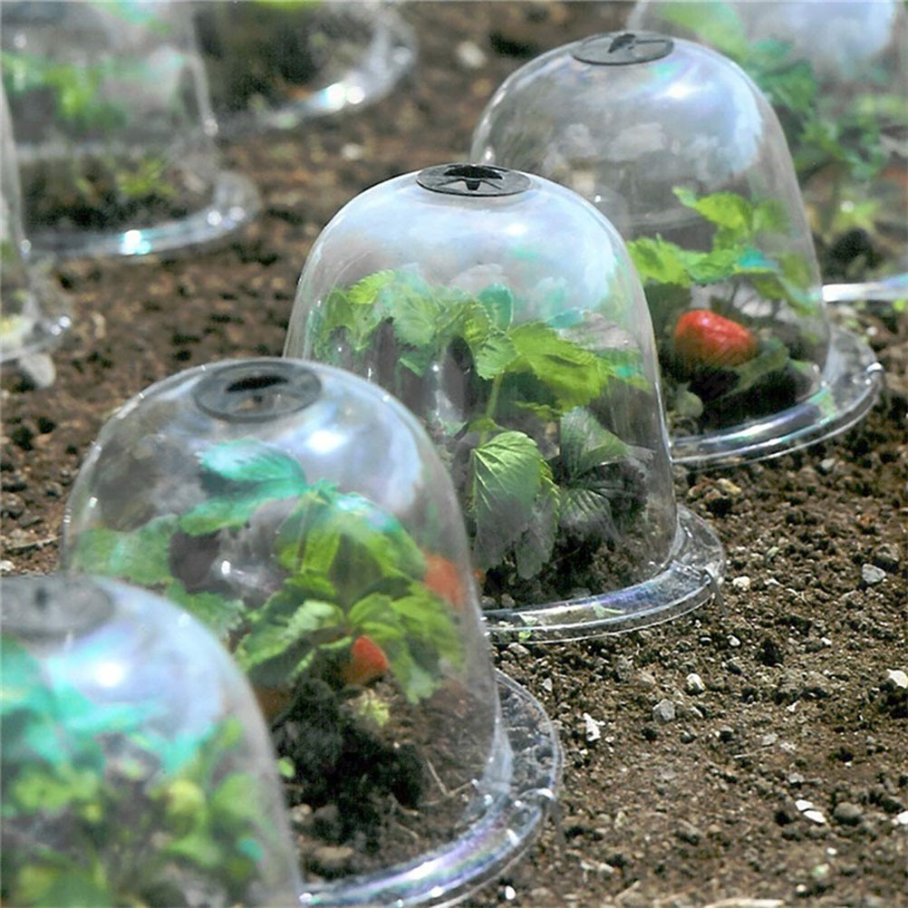 6PCS Reusable Garden Plant Cloche Plastic Dome Protective Seedling Covers for Outdoor Garden