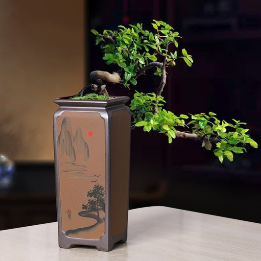 Purple Sand Ceramic Orchid Creative Indoor Desktop Green Plant Potted Plants