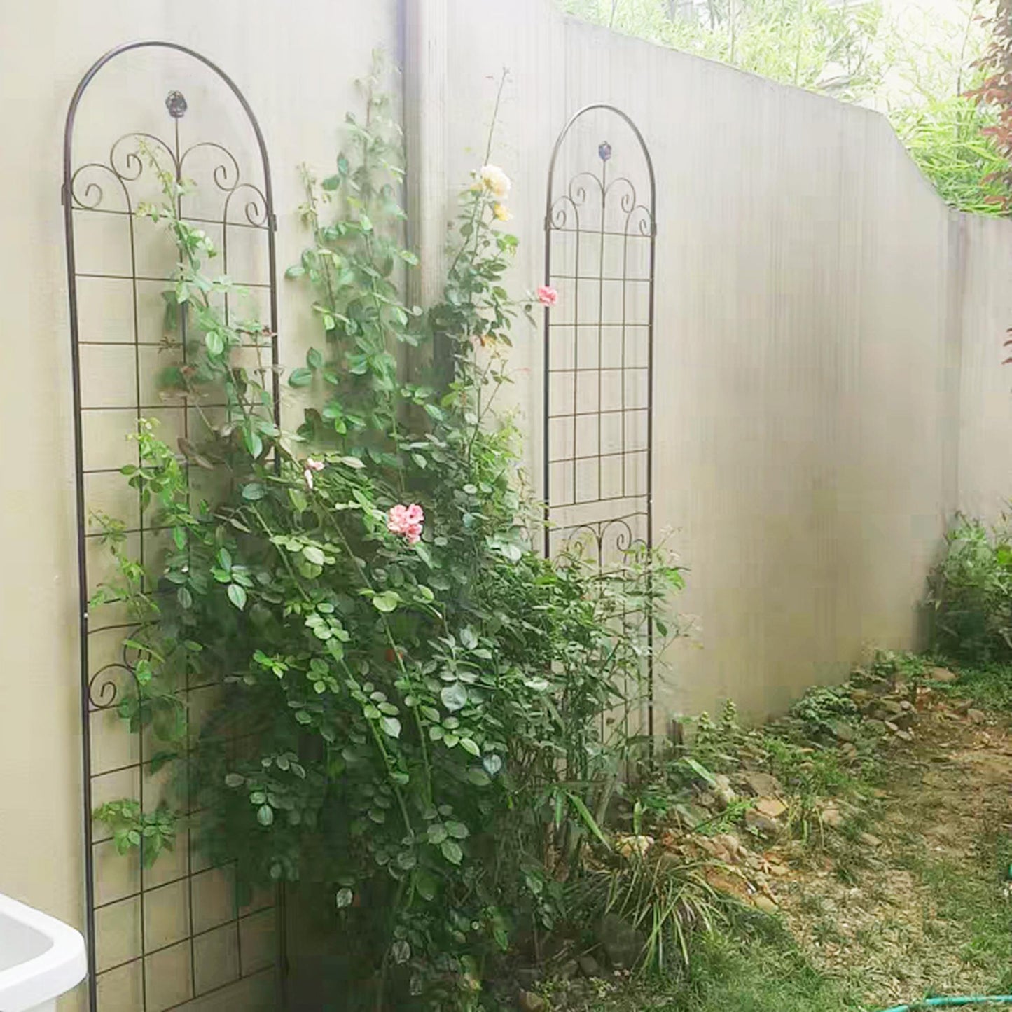 Metal Garden Trellis For Outdoor Climbing Plants