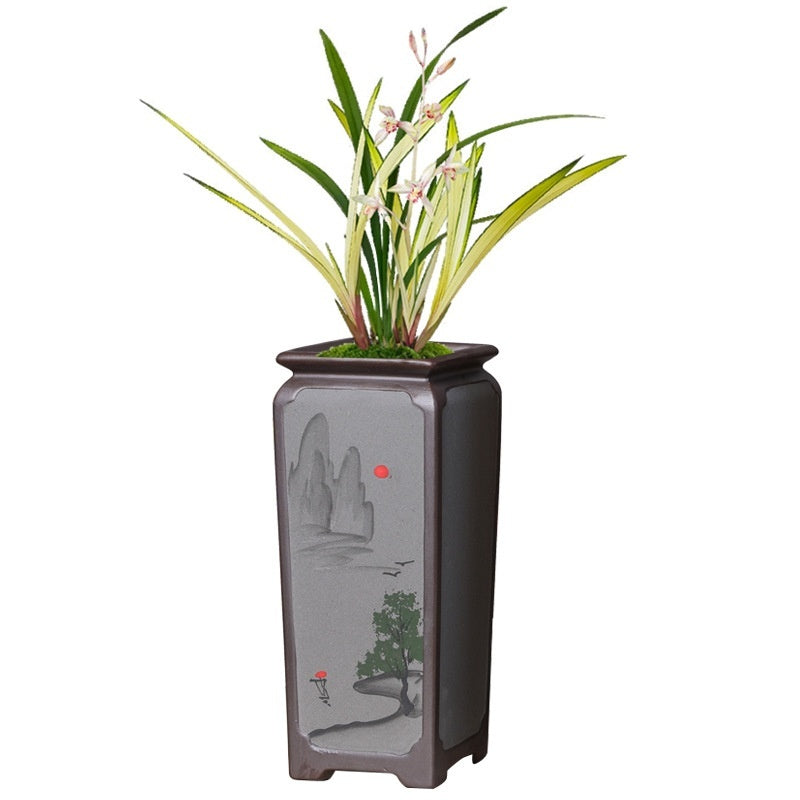 Purple Sand Ceramic Orchid Creative Indoor Desktop Green Plant Potted Plants